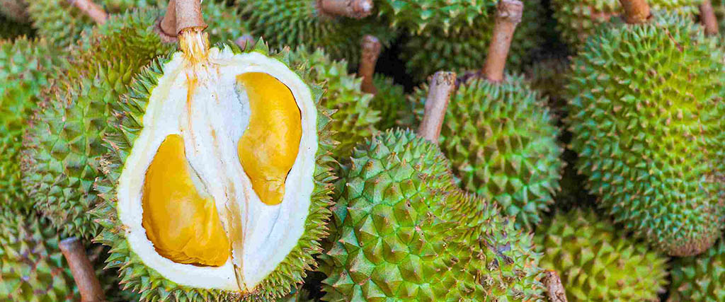 Picture of a Durian fruit